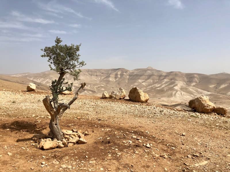 Izrael odobrio izgradnju u E1 na Zapadnoj obali — hoće li to ugušiti šanse za palestinsku državu?