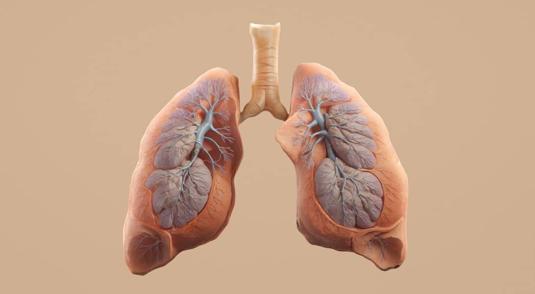 Spirometrija otkriva HOBP i rak pluća: Kako duvan utiče na pluća i zašto je rani skrining ključ