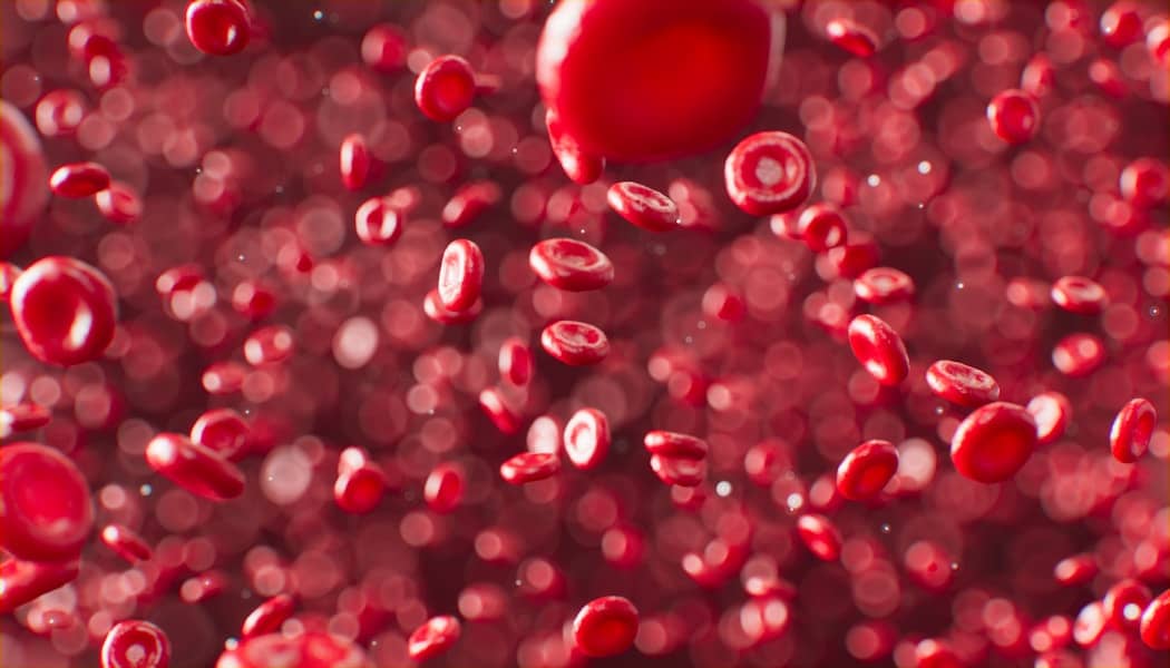 Povećan broj blastnih ćelija u koštanoj srži: znak leukemije i mijelodisplastičnog sindroma koji ne smijete ignorisati