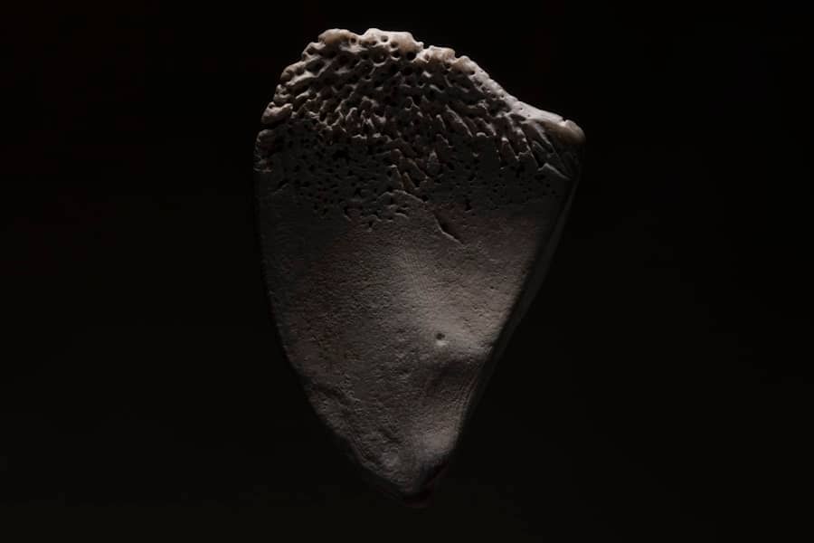 Asteroid Ryugu je imao tečnu vodu milijardu godina kasnije — novi dokazi mijenjaju priču o porijeklu vode na Zemlji