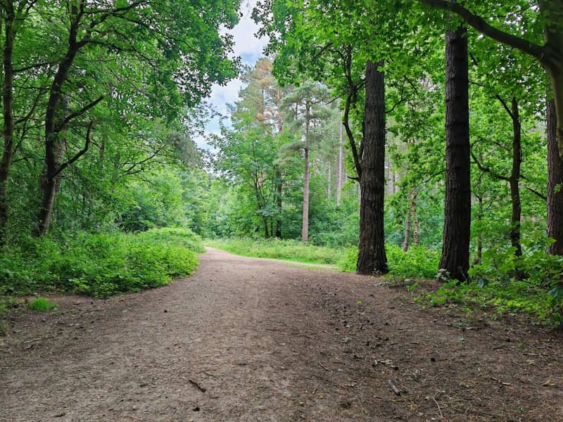 Notingem Forest prokockao pobjedu protiv Barnlija 1:1 u Premijer ligi — debi Zinčenka pod kritikama