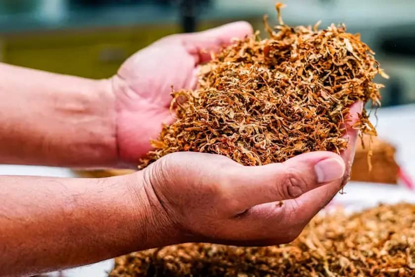 SZO upozorava: Duvan i elektronske cigarete šire zavisnost od nikotina, 1,2 milijarde korisnika 2024