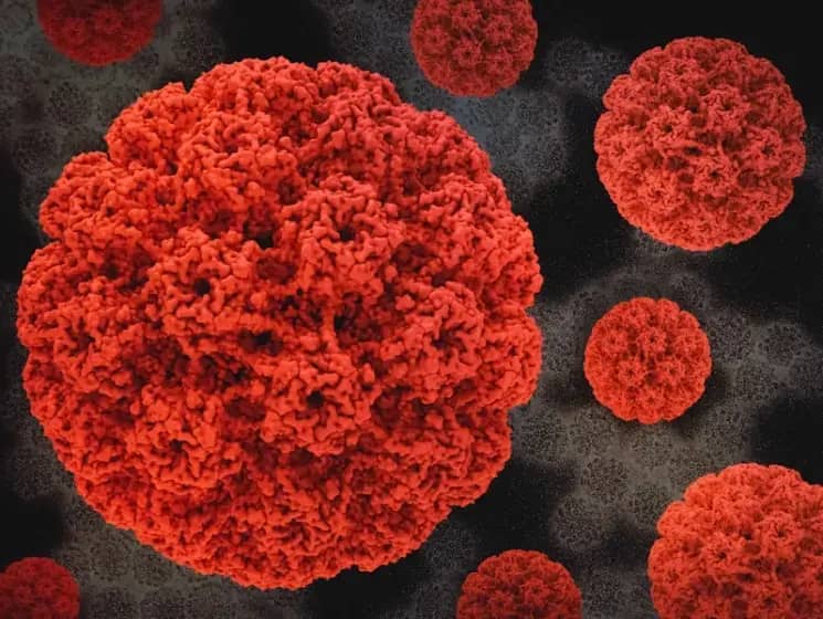 Nove smernice: Skrining raka grlića materice od 25. godine i odobreni samostalni HPV test za kućno uzorkovanje
