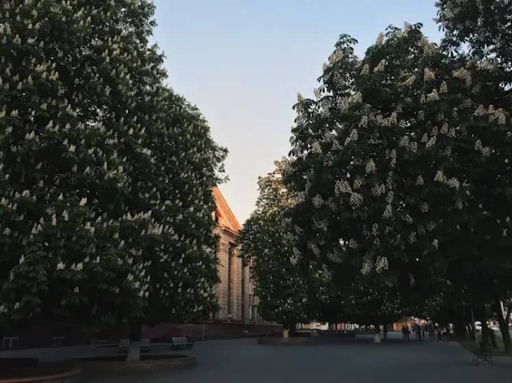 Ruska vojska napreduje u Zaporožju i napada Pokrovsk u Donjecku dok sankcije na rusku naftu stupaju na snagu