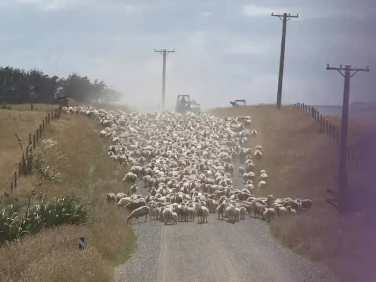 Građani Longmonta odbili Flock Safety: Pobuna protiv AI nadzora, ALPR kamera i kršenja privatnosti