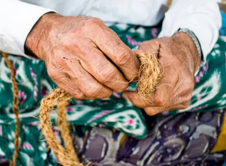 Kastracija i sterilizacija produžavaju život: nova studija otkriva kako kastracija povećava dugovečnost muškaraca