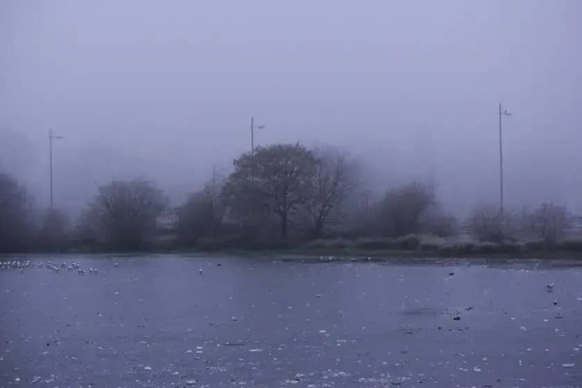Prehlada: Zašto znojenje ne liječi, šta pomaže i kako ubrzati oporavak za 7–10 dana