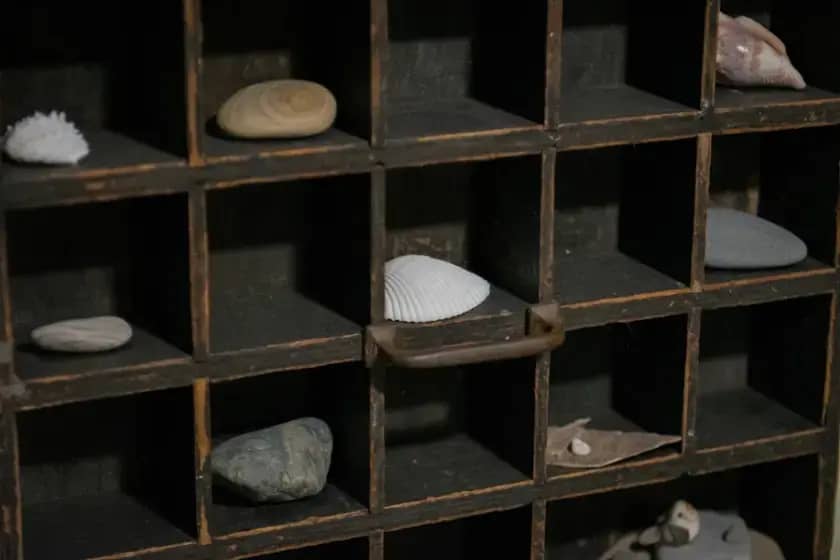Parting Stone pretvara kremirane ostatke u bijele kamenčiće: cijene, proces i priča startupa