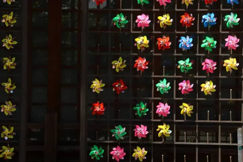 Imunoglobulin A (IgA): Šta su antitijela, normalni nivoi, simptomi i liječenje promjena nivoa IgA