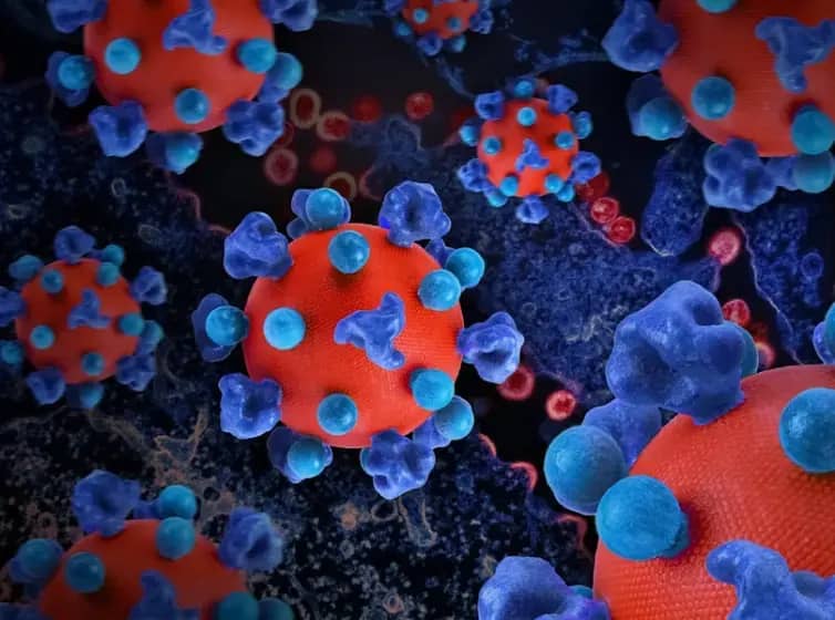 Zašto žene češće dobijaju autoimune bolesti: hormoni, X hromozom i imuni sistem objašnjavaju